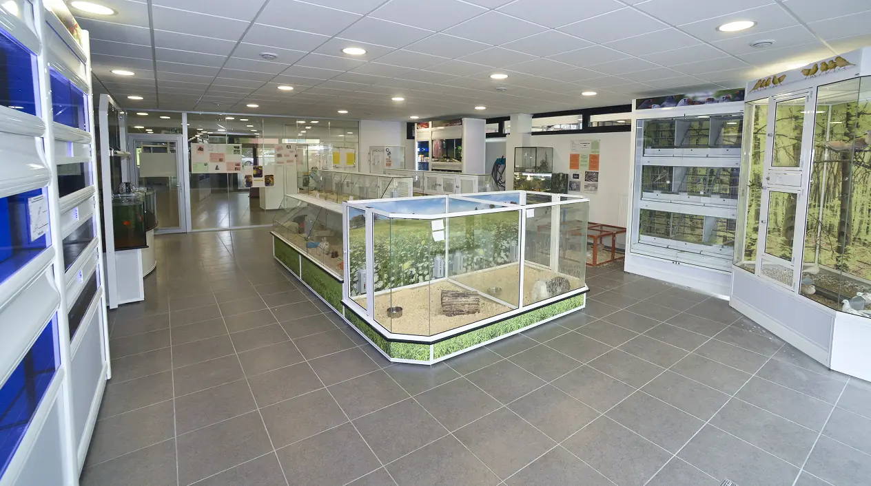 Activités autour des animaux ?>