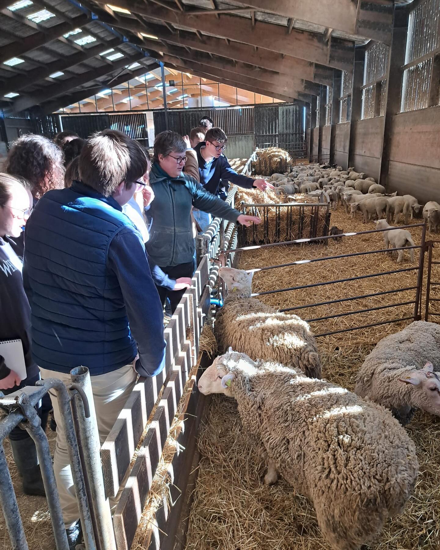 Bac CGEA (Conseil et Gestion de l’Exploitation Agricole)