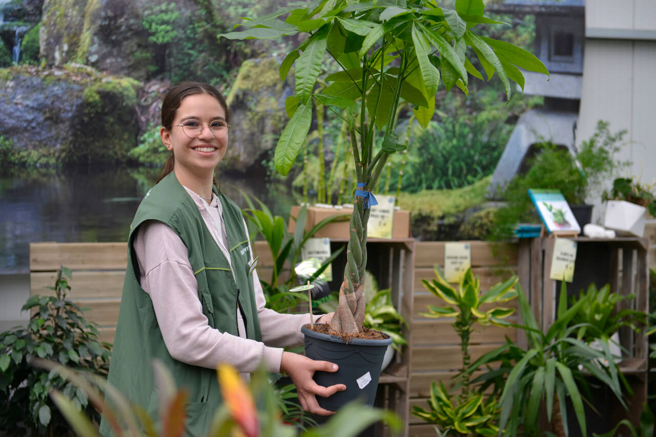 Bac TCVUJ (Technicien Conseil Vente Univers Jardin)